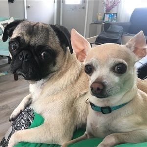 Meet your Posher, Amber